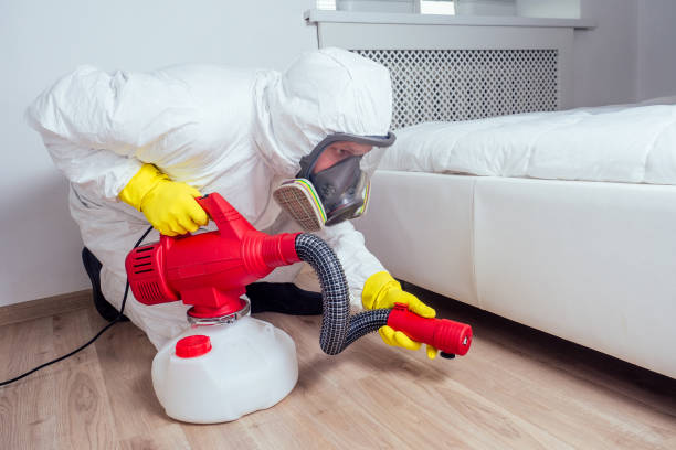 Best Pest Prevention Services  in Hoffman Estates, IL